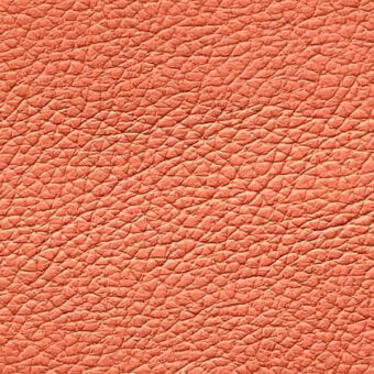 Salmon leather texture, full-grain hide, dense patterned grain with irregular lines and matte finish; egoitaliano nibe 4455.